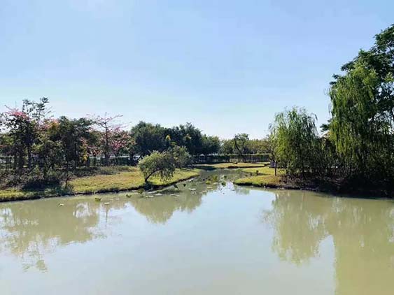 團(tuán)建回顧|華陽(yáng)湖大挑戰(zhàn)！尋找和生“三好青年”？